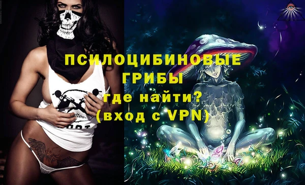 хмурый Абаза