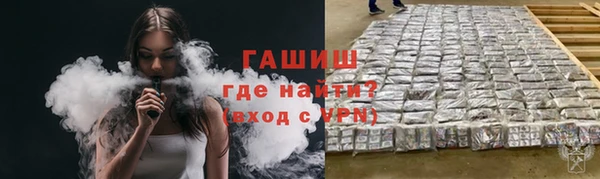 хмурый Абаза