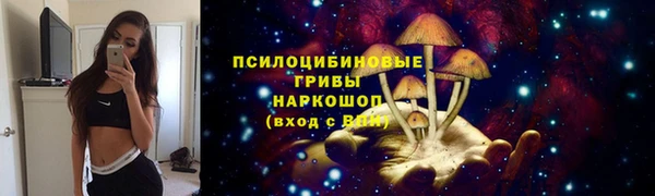 спиды Мегион