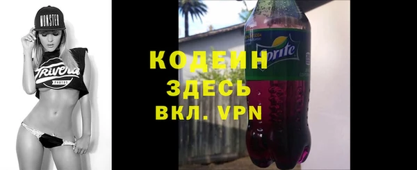 хмурый Абаза