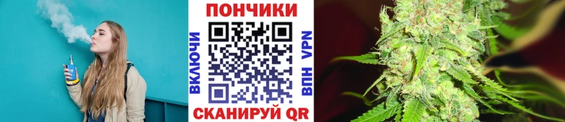 Шишки марихуана Amnesia  Новотроицк 